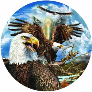 13 Eagles Round