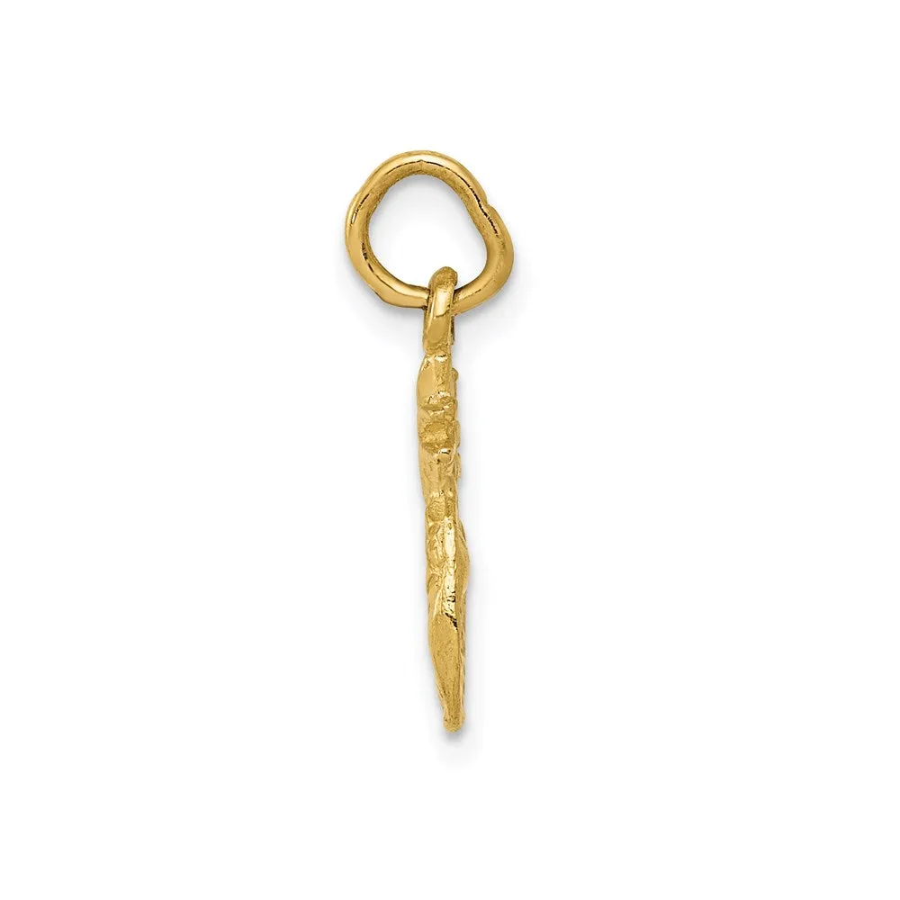 14k Polished Pineapple Charm