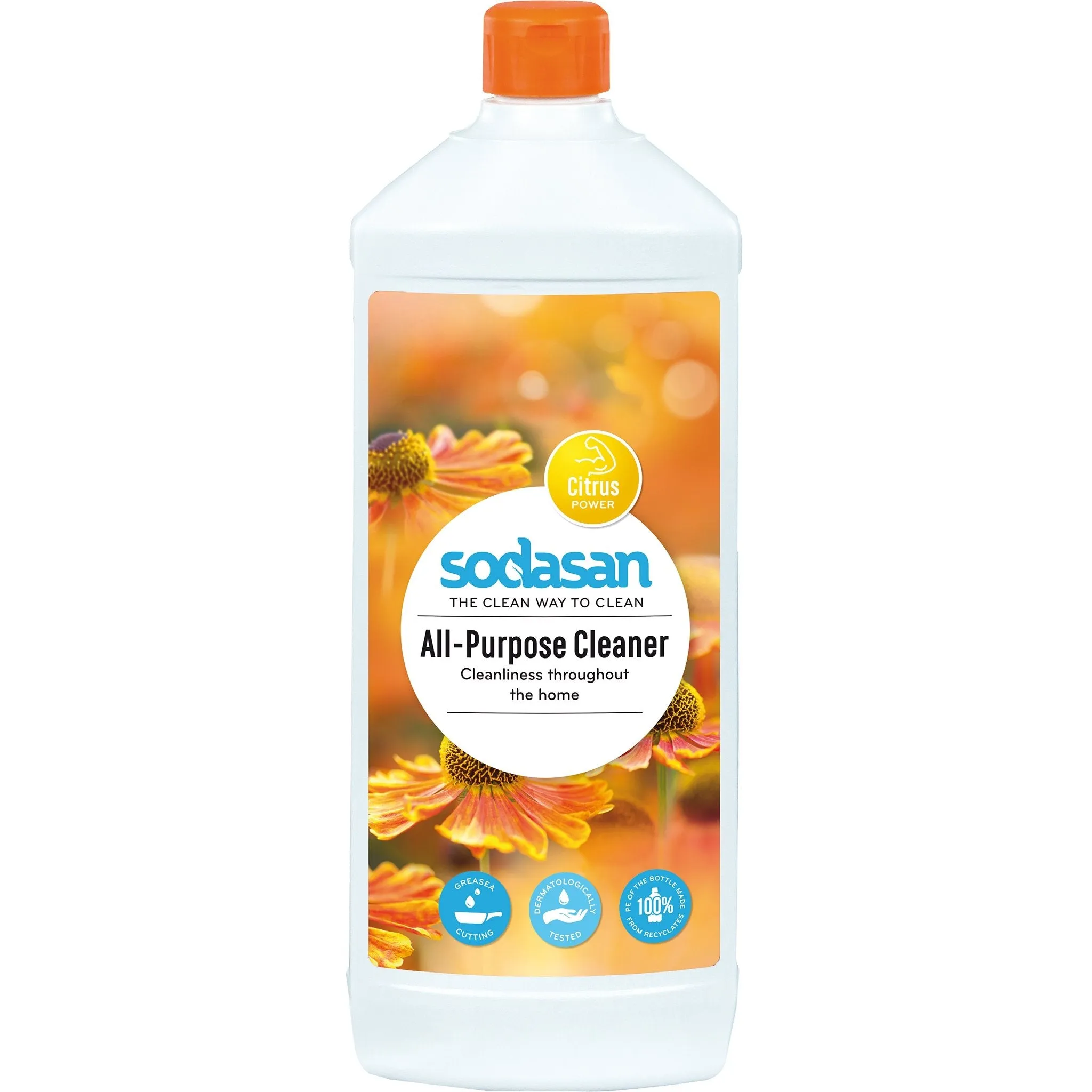 All Purpose Cleaner
