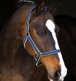 Amigo® Padded Halter