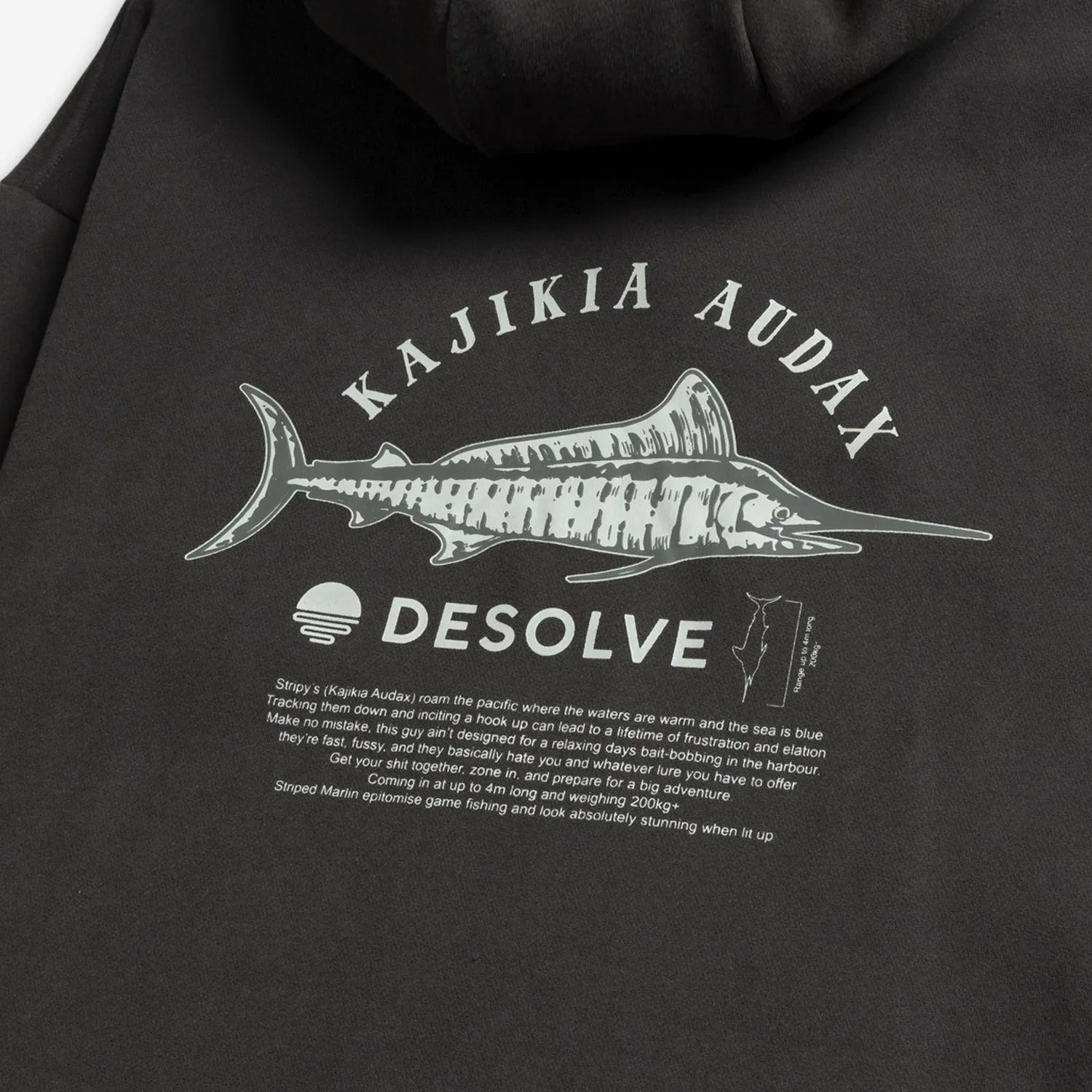 Audax Hoodie