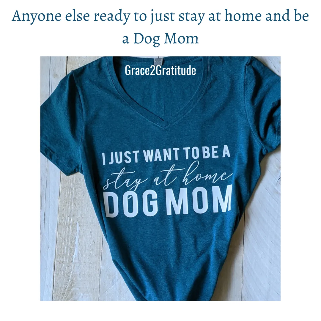 Be a stay at home Dog Mom