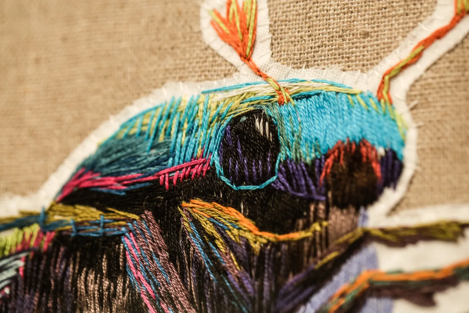 Beetle