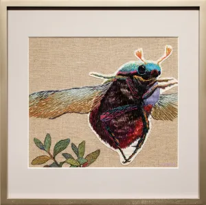 Beetle