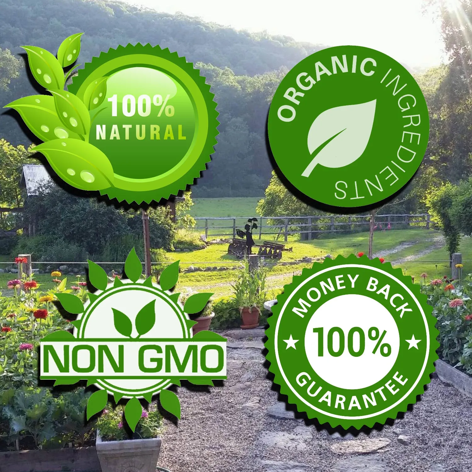 CONCENTRATE All-Purpose Fertilizer GALLON
