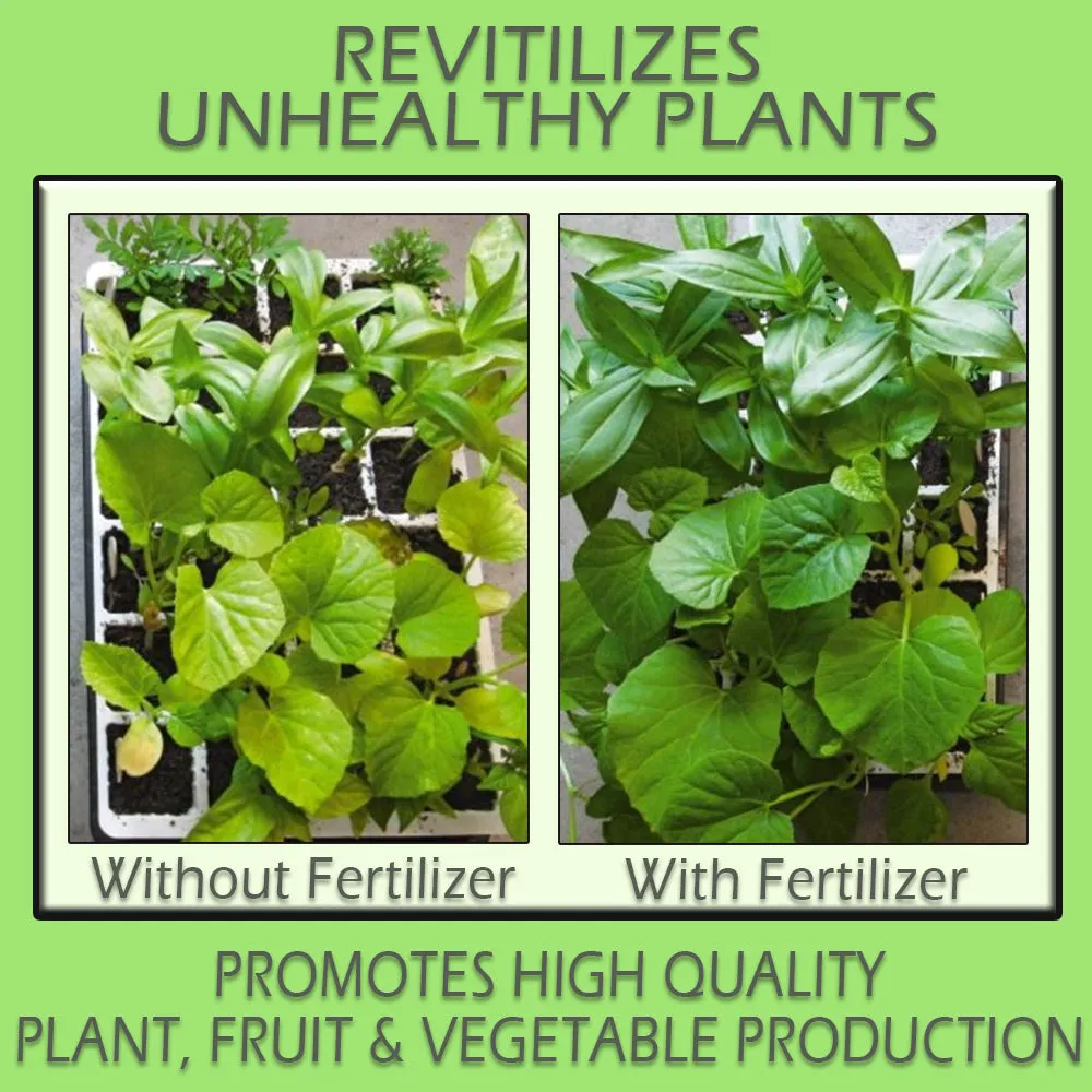 CONCENTRATE All-Purpose Fertilizer GALLON