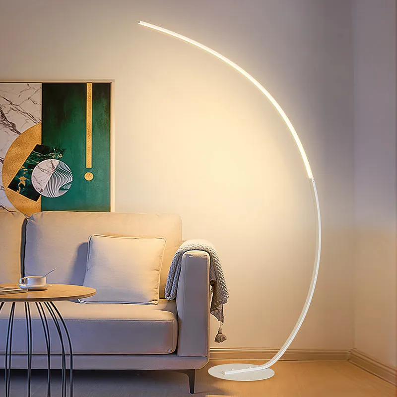 Curved Floor Lamp