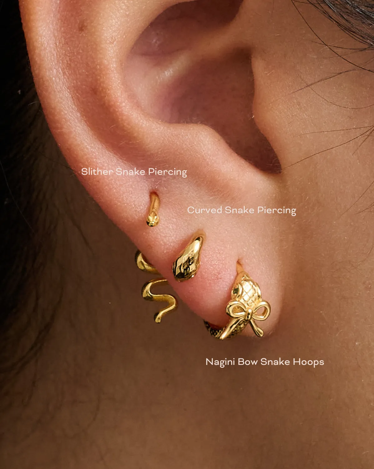 Curved Snake Piercing