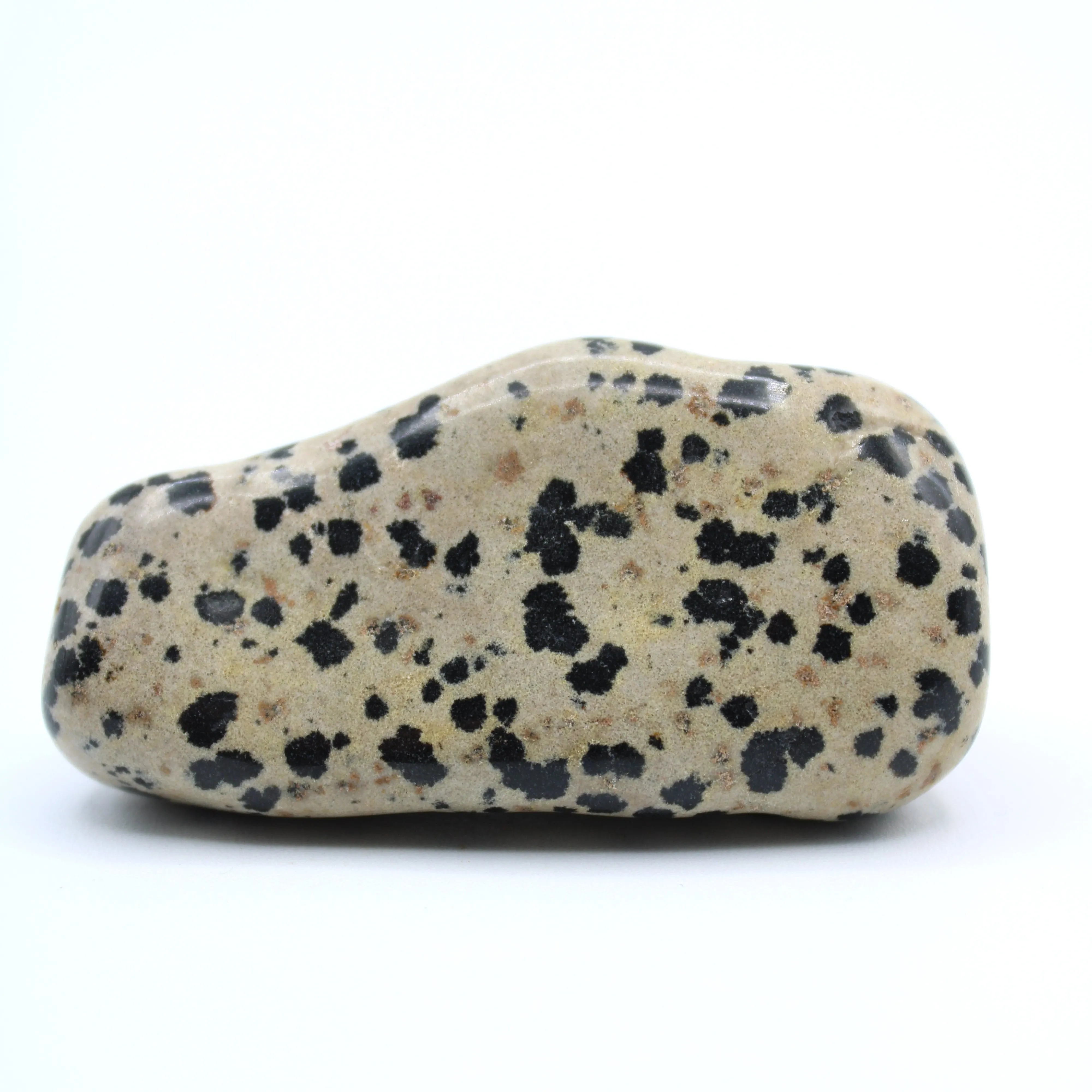 Dalmatian Jasper Free-Form