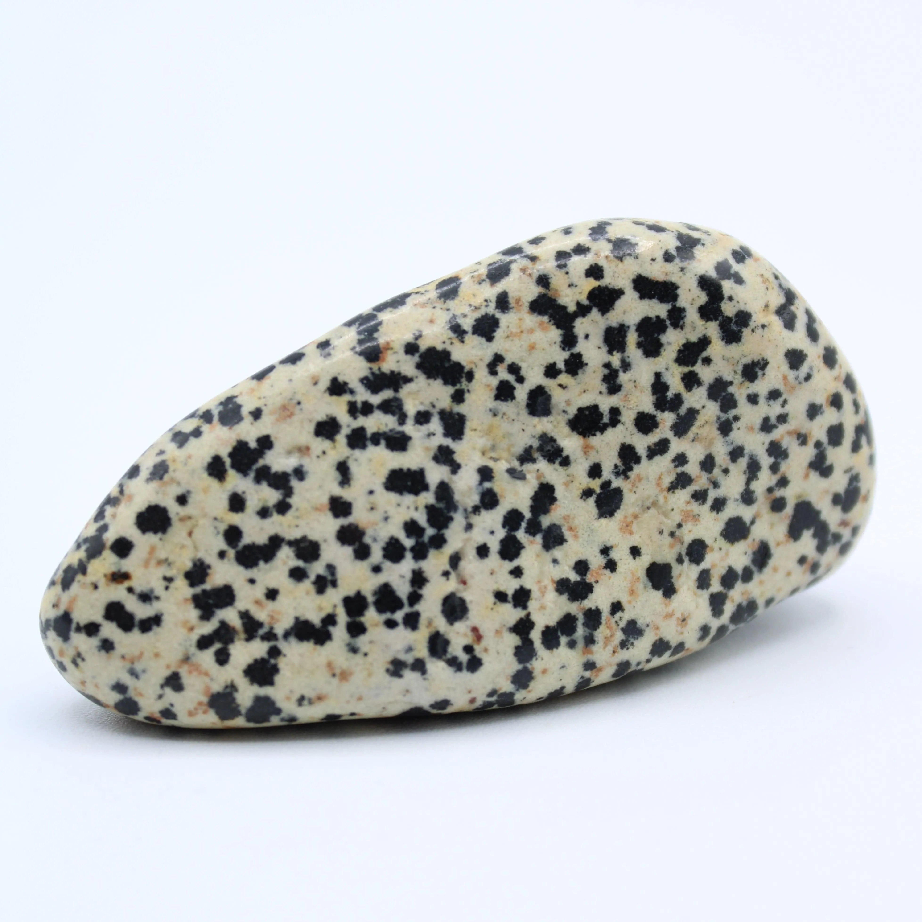 Dalmatian Jasper Free-Form