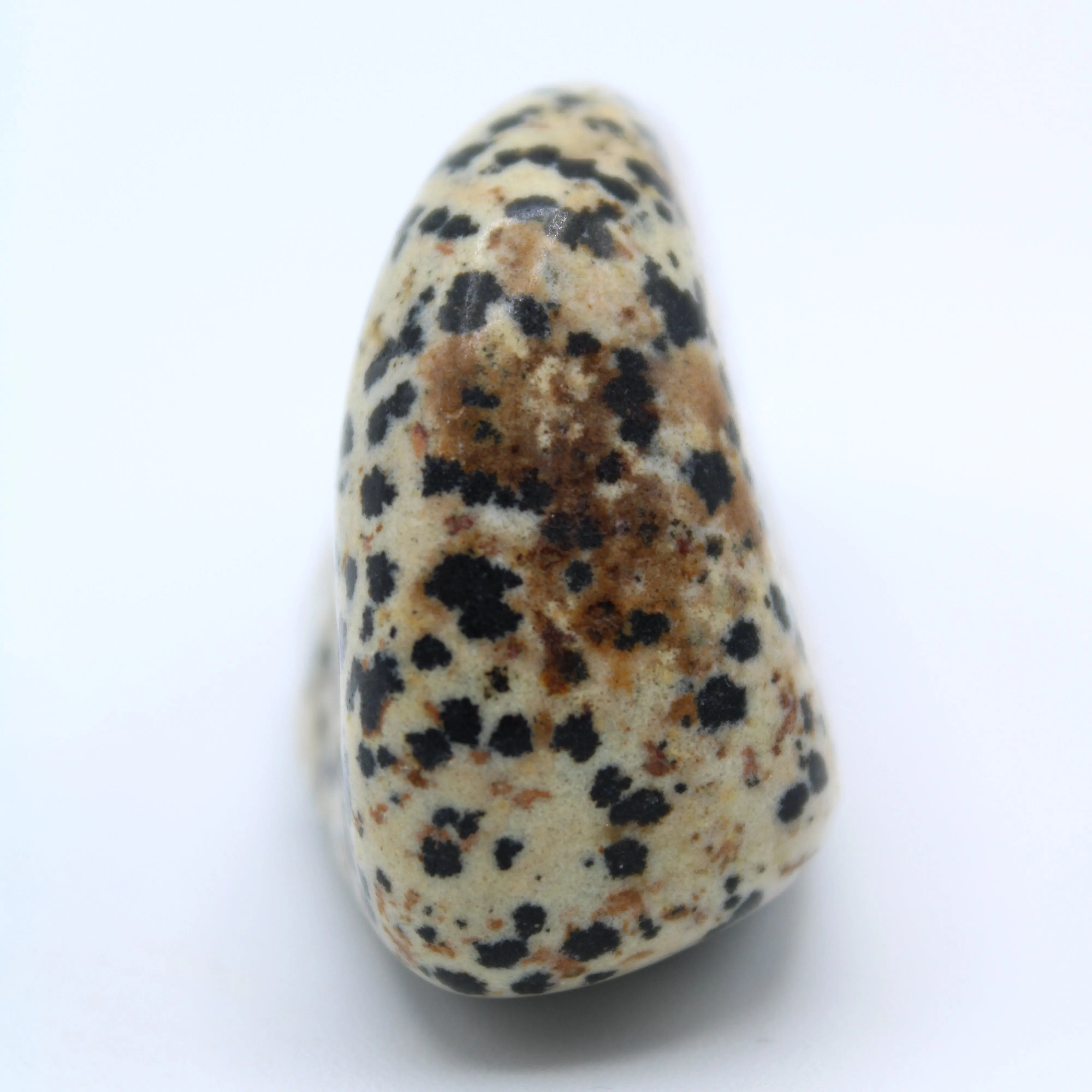 Dalmatian Jasper Free-Form