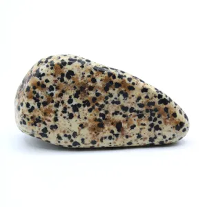 Dalmatian Jasper Free-Form