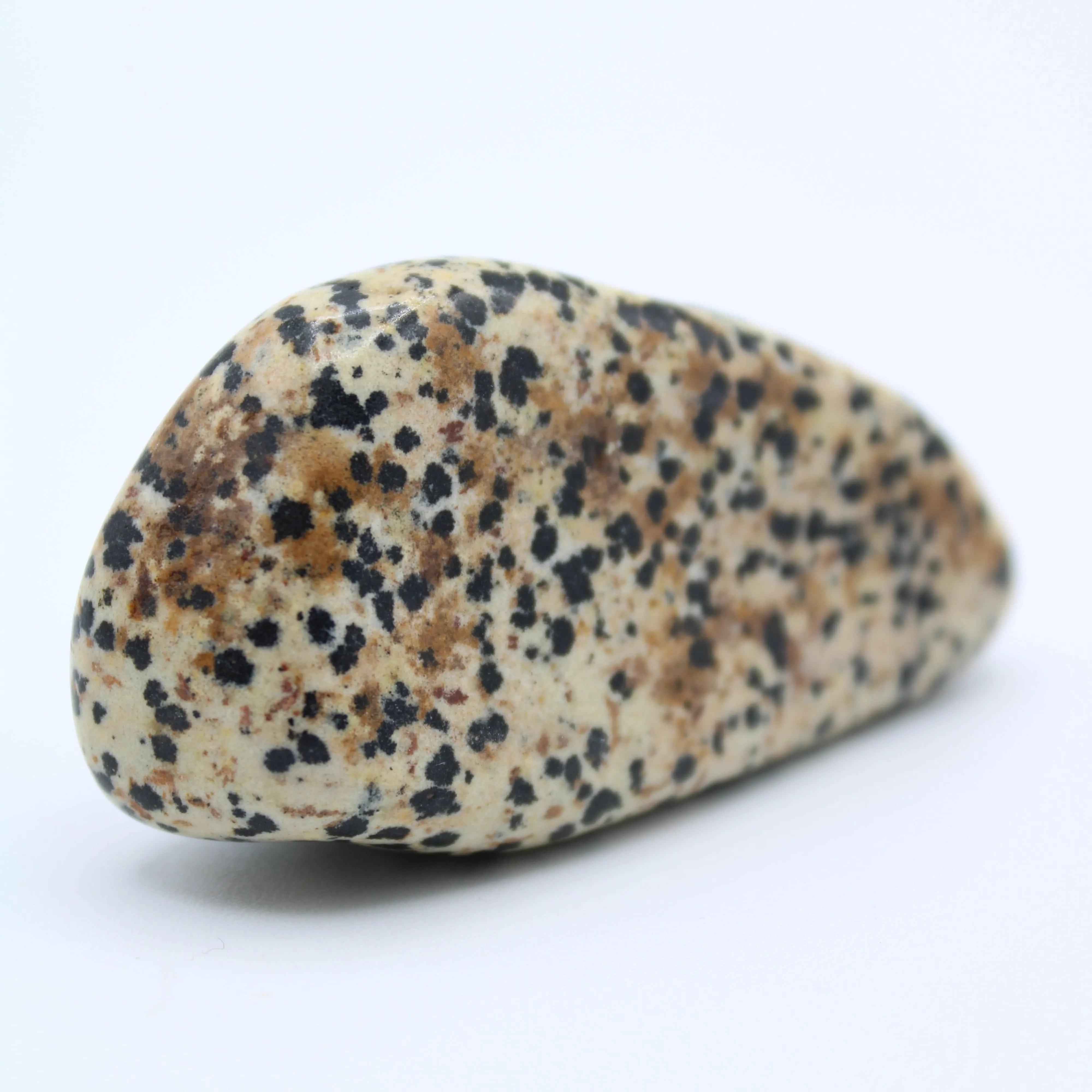 Dalmatian Jasper Free-Form