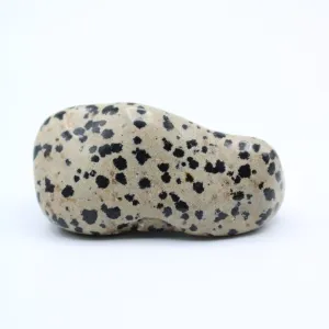 Dalmatian Jasper Free-Form