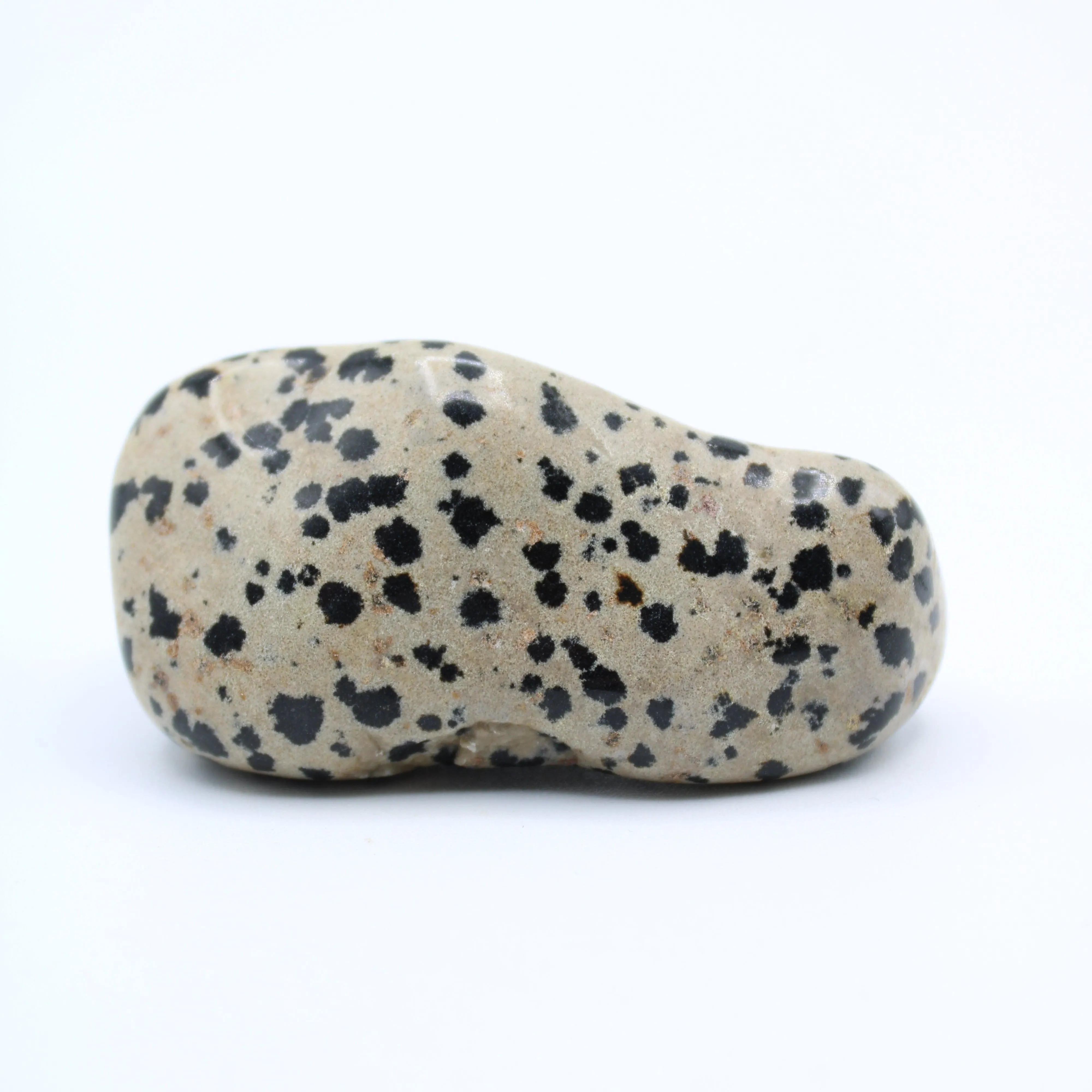 Dalmatian Jasper Free-Form