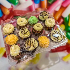 Day Old Dozen (Test)
