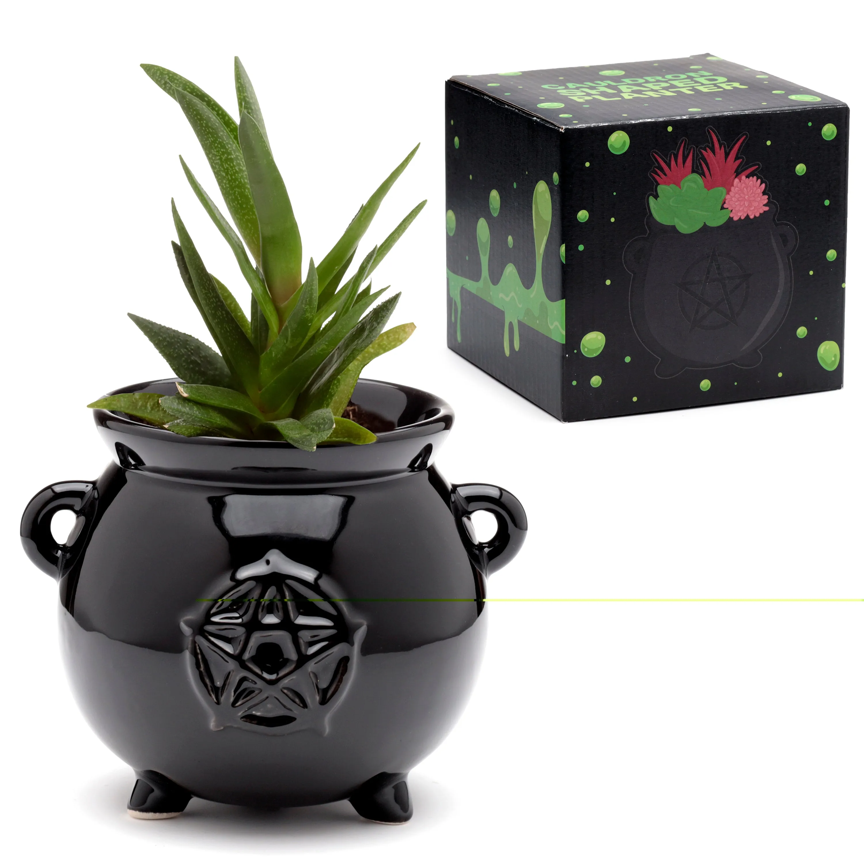 Decorative Ceramic Indoor Shaped Planter - Witches Cauldron