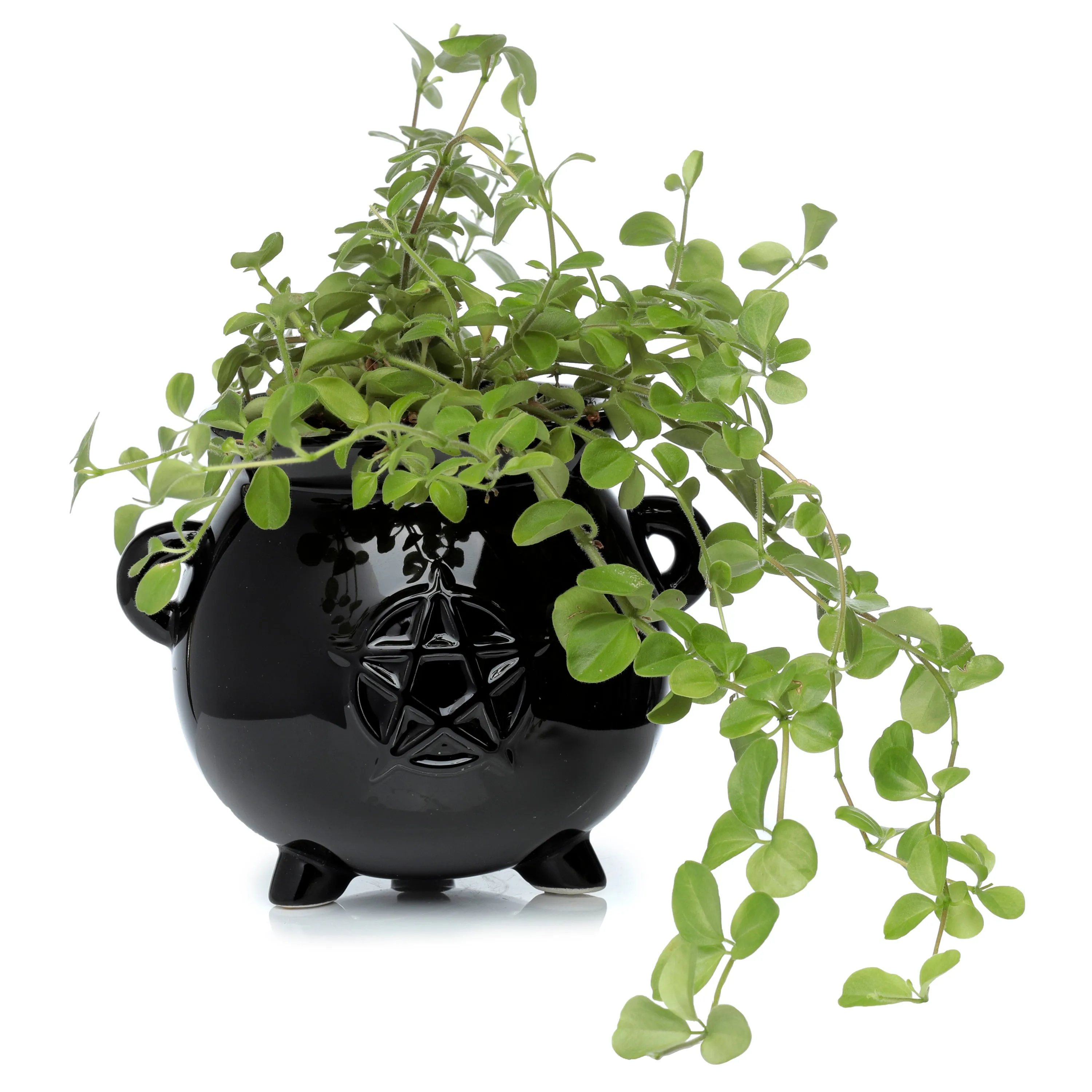 Decorative Ceramic Indoor Shaped Planter - Witches Cauldron