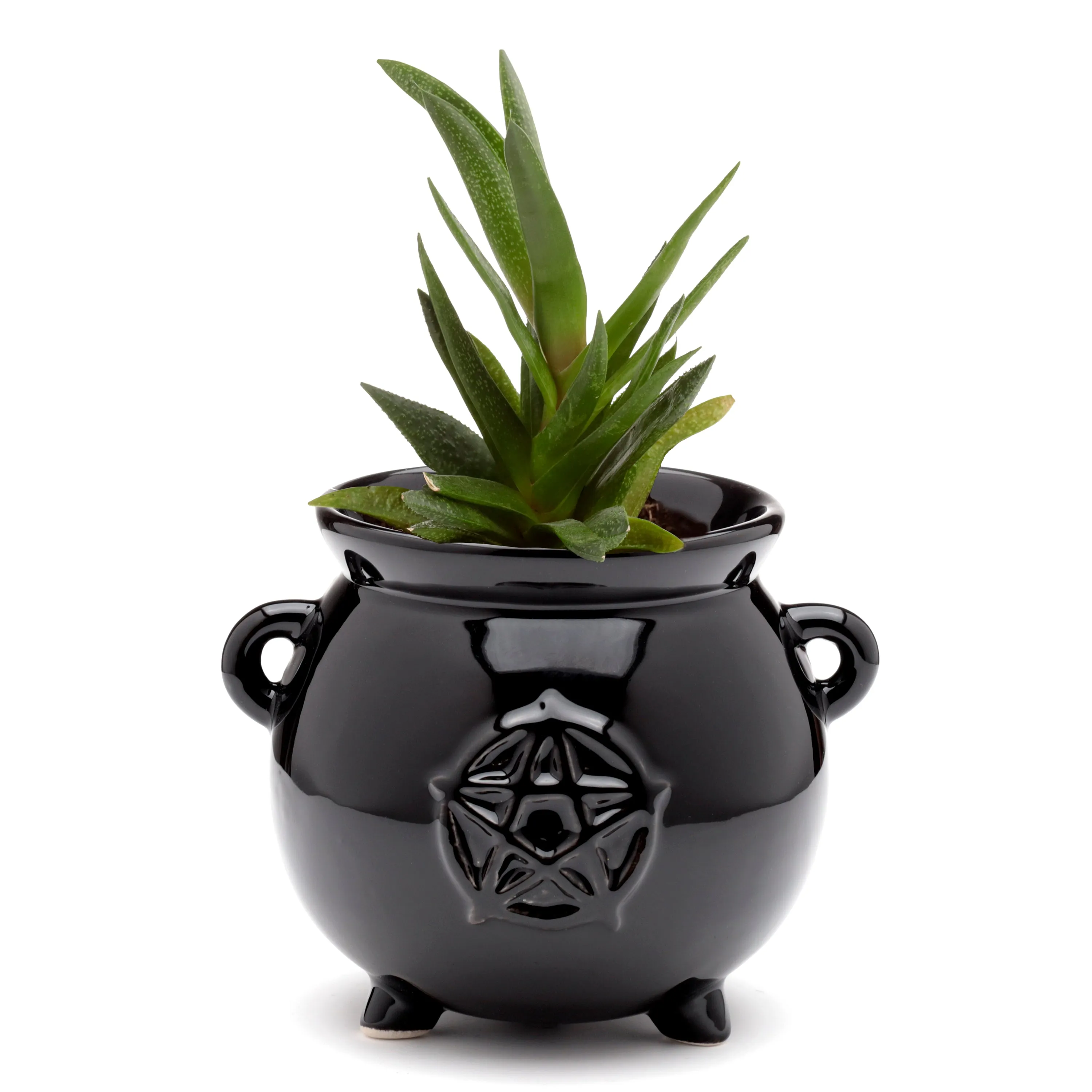 Decorative Ceramic Indoor Shaped Planter - Witches Cauldron