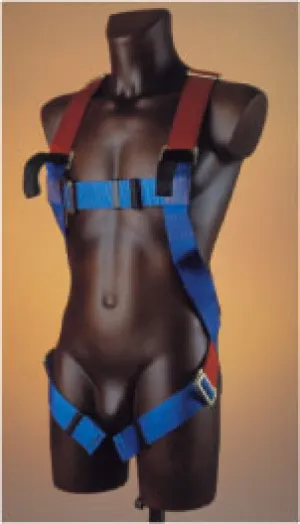 Full Body Harness - 100kg Safety (WINDSOR)