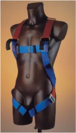 Full Body Harness - 100kg Safety (WINDSOR)
