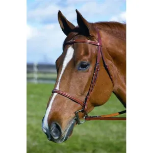 HDR Pro Raised Fancy Stitched Padded Bridle   Free Name Tag