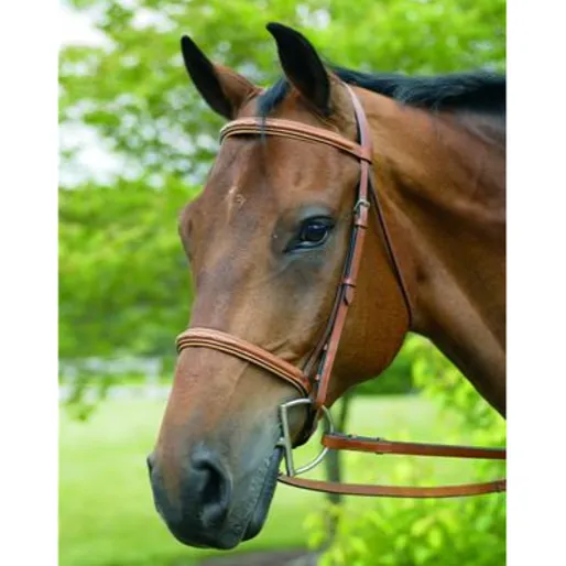 HDR Pro Raised Fancy Stitched Padded Bridle   Free Name Tag