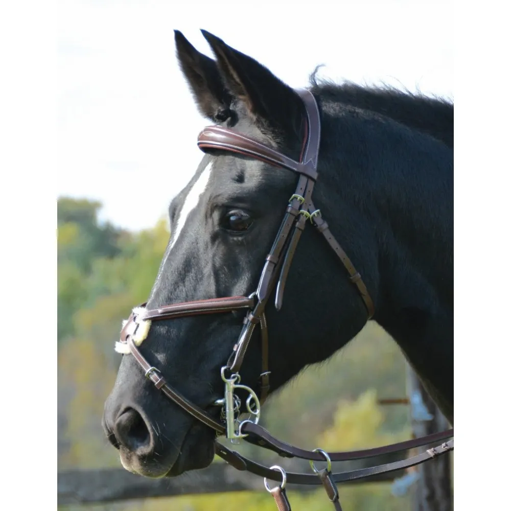 HDR Pro Stress Free Fancy Stitched Figure 8 Bridle   Free Name Tag