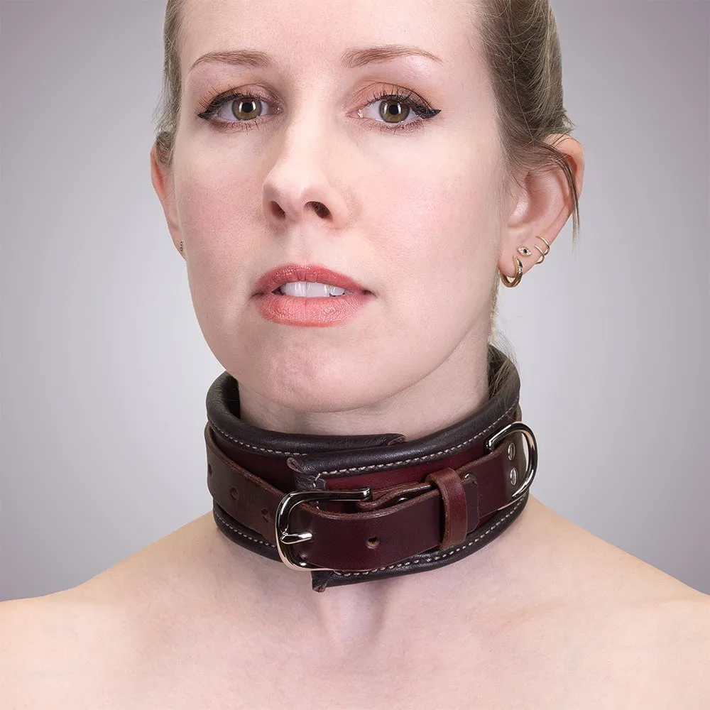 Heavy Duty Padded Collar
