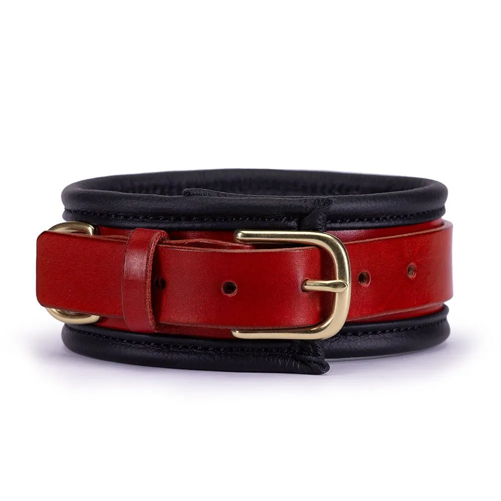 Heavy Duty Padded Collar