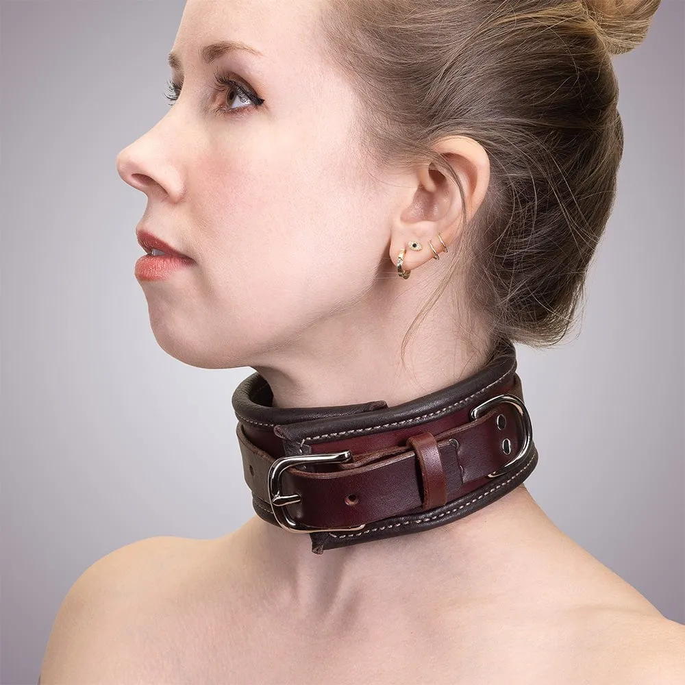 Heavy Duty Padded Collar