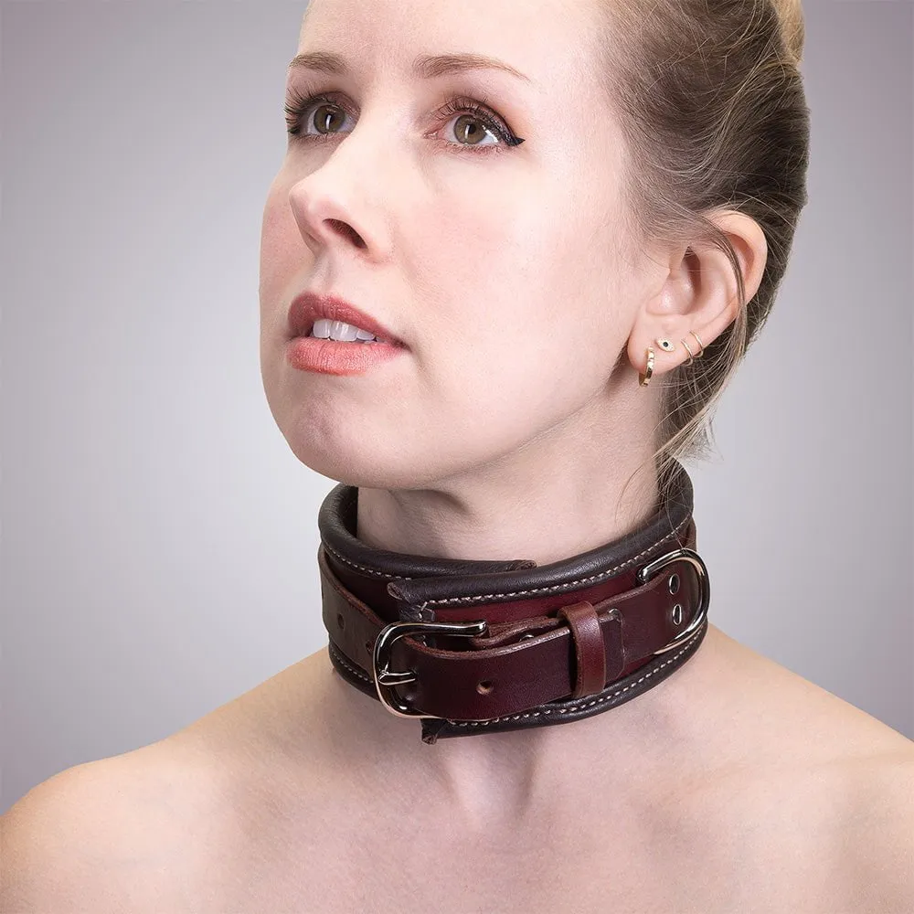 Heavy Duty Padded Collar