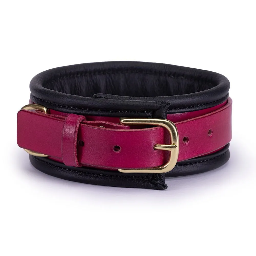 Heavy Duty Padded Collar