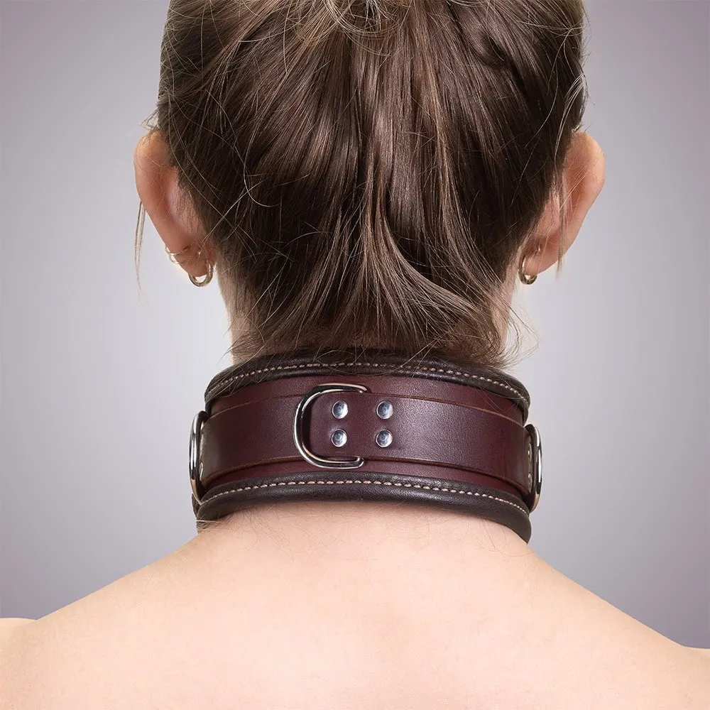 Heavy Duty Padded Collar