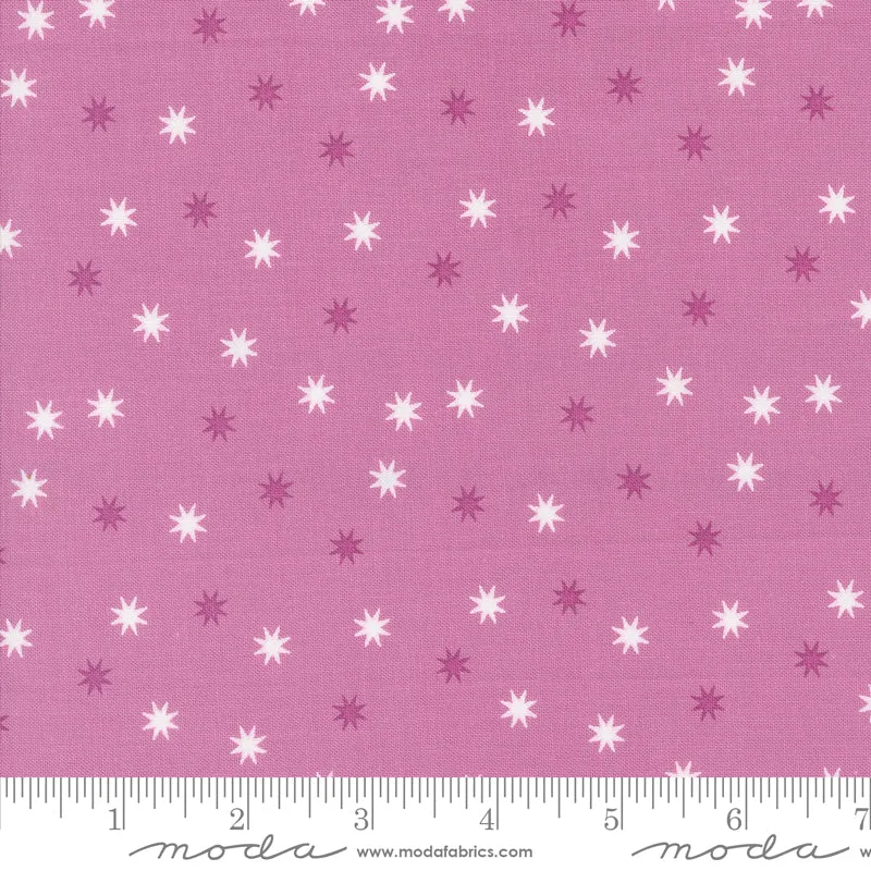 Hey Boo, Practical Magic Stars in Purple Haze