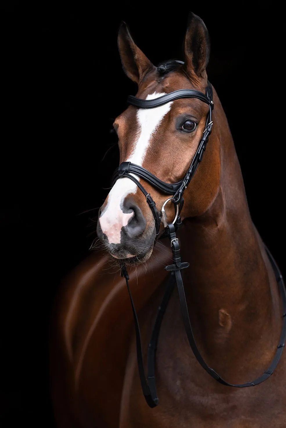 HKM Bridle Anatomic