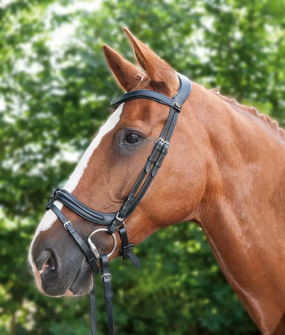 HKM Bridle Anatomic