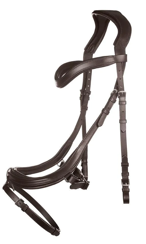 HKM Bridle Anatomic