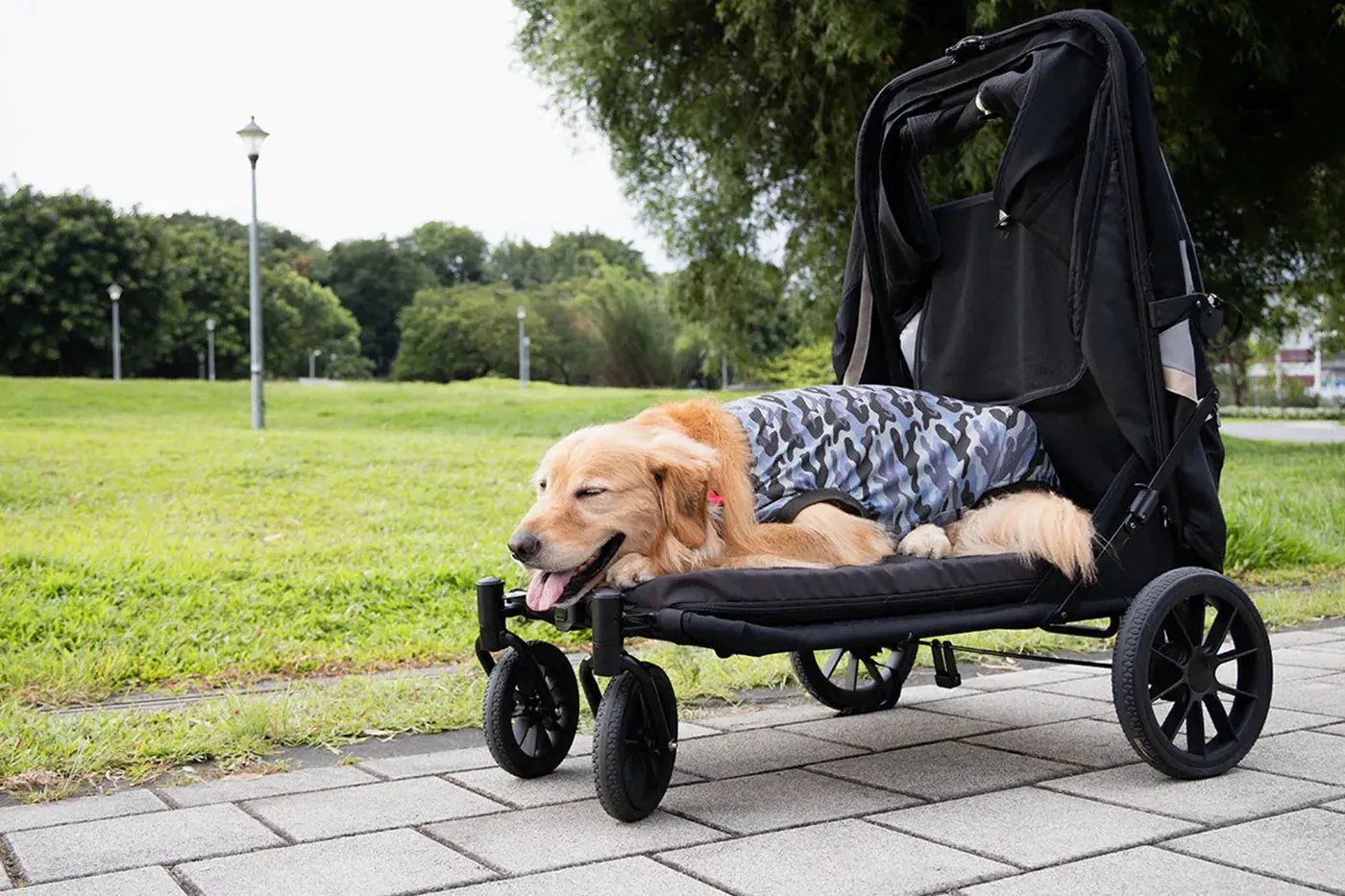 Ibiyaya Grand Cruiser Large Dog Stroller |   Included Supportive Cushion