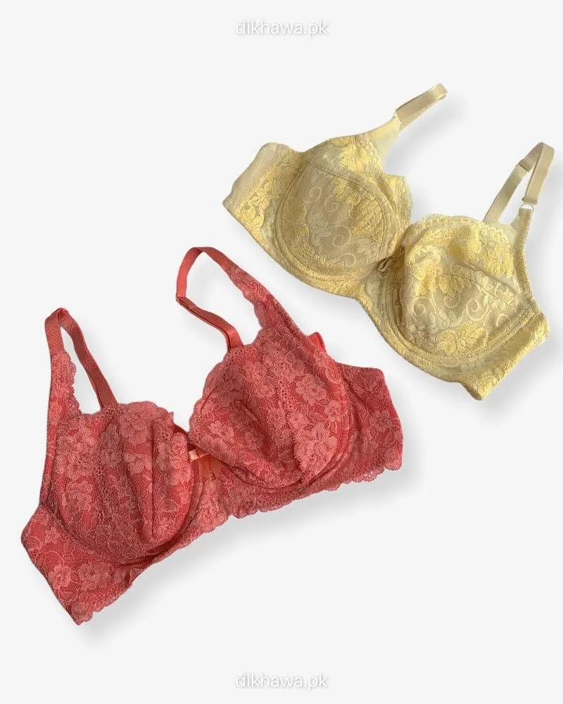 Imported Stocklot Branded  Net Pushup Bra - Underwired Bra  - Non Padded Bra - Pack of 2