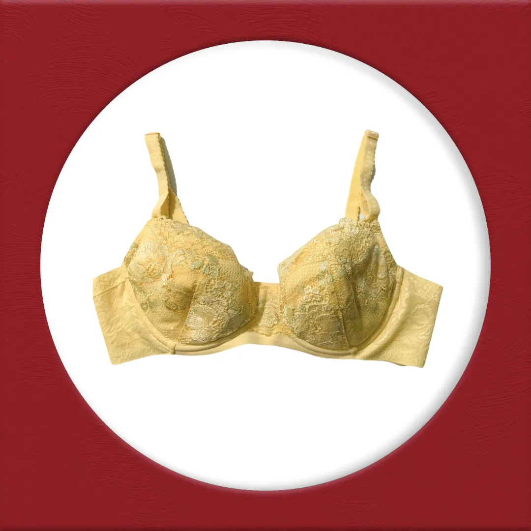 Imported Stocklot Branded  Net Pushup Bra - Underwired Padded Bra - Pack of 2
