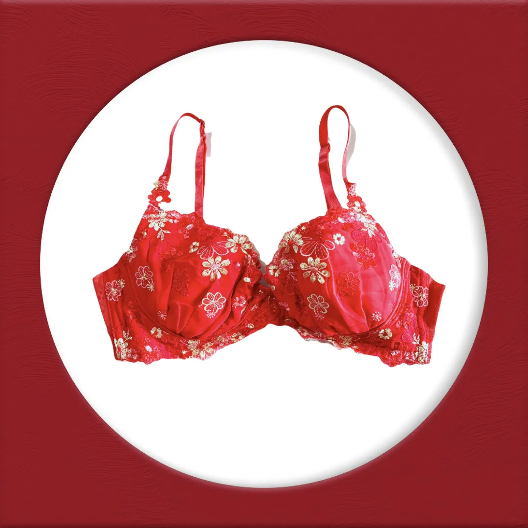 Imported Stocklot Branded  Net Pushup Bra - Underwired Padded Bra - Pack of 2