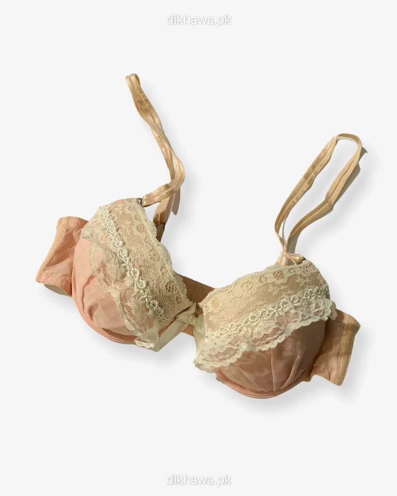Imported Stocklot Branded  Net Pushup Bra - Underwired Padded Bra - Pack of 2