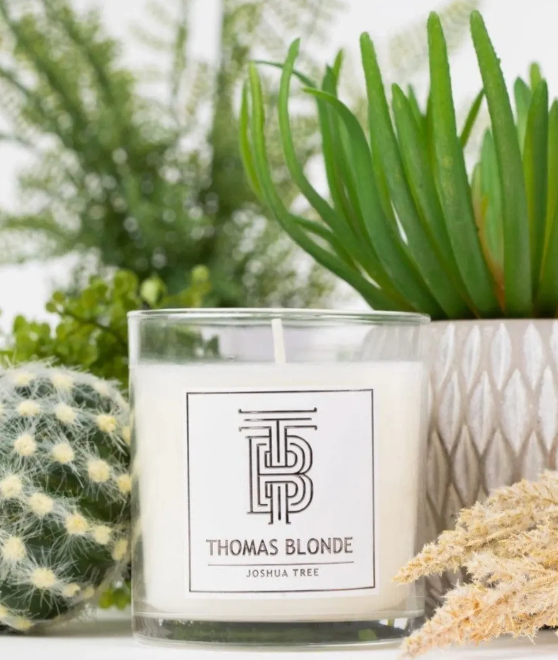 Joshua Tree Candle