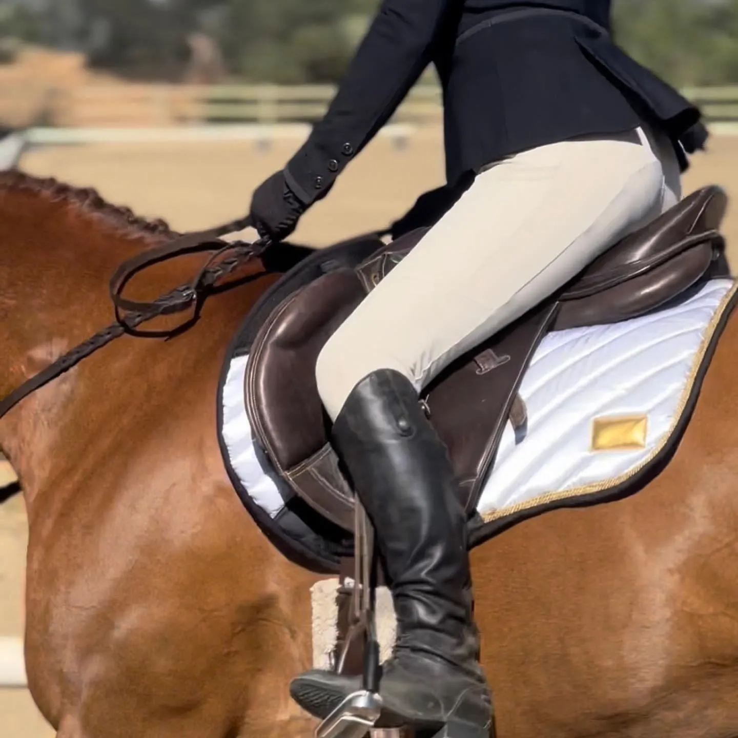 Jumping AP Saddle Pad Amboise White