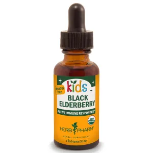 Kids Black Elderberry Glycerite