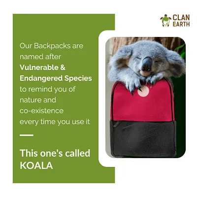 Koala Backpack