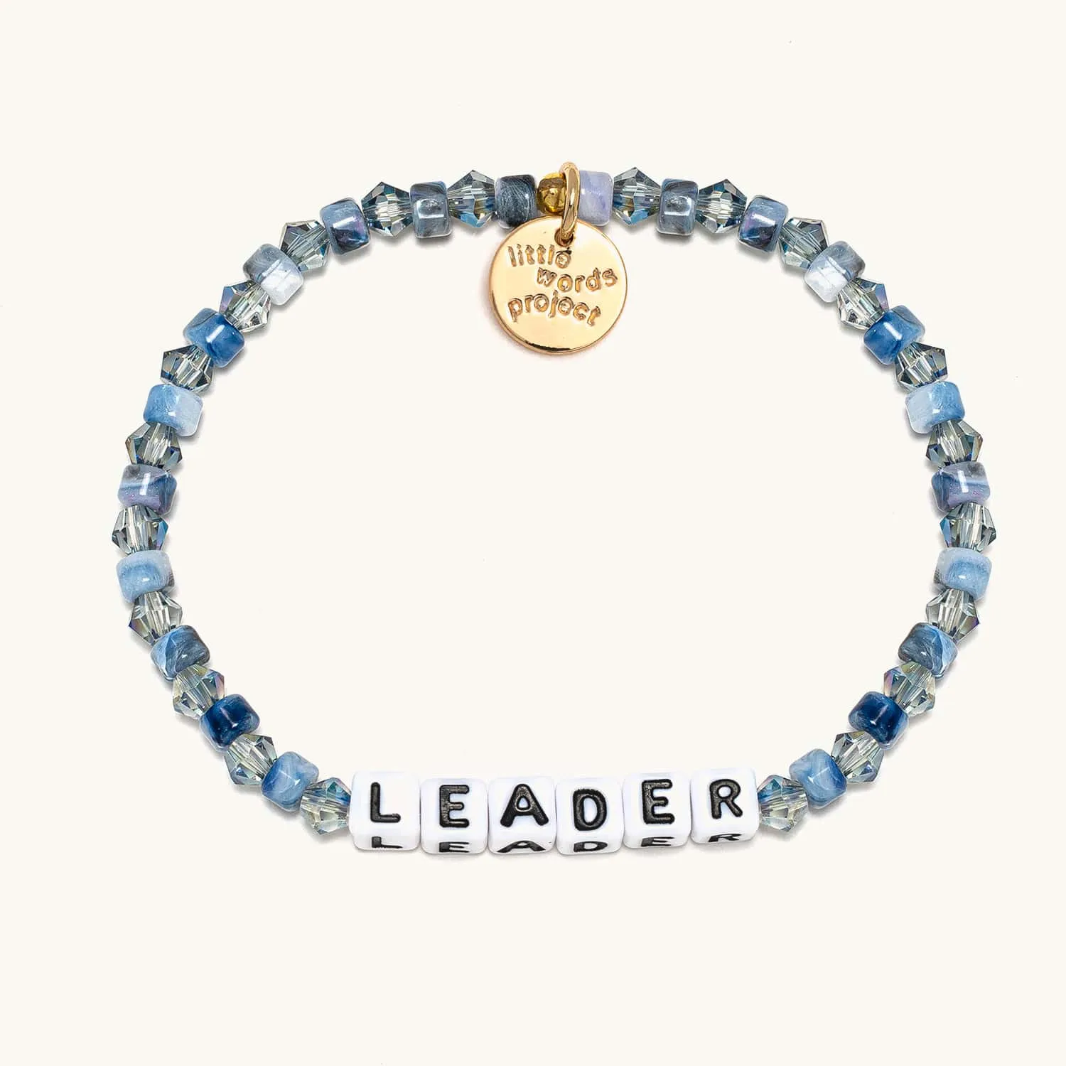 Leader- Everyday Heroes