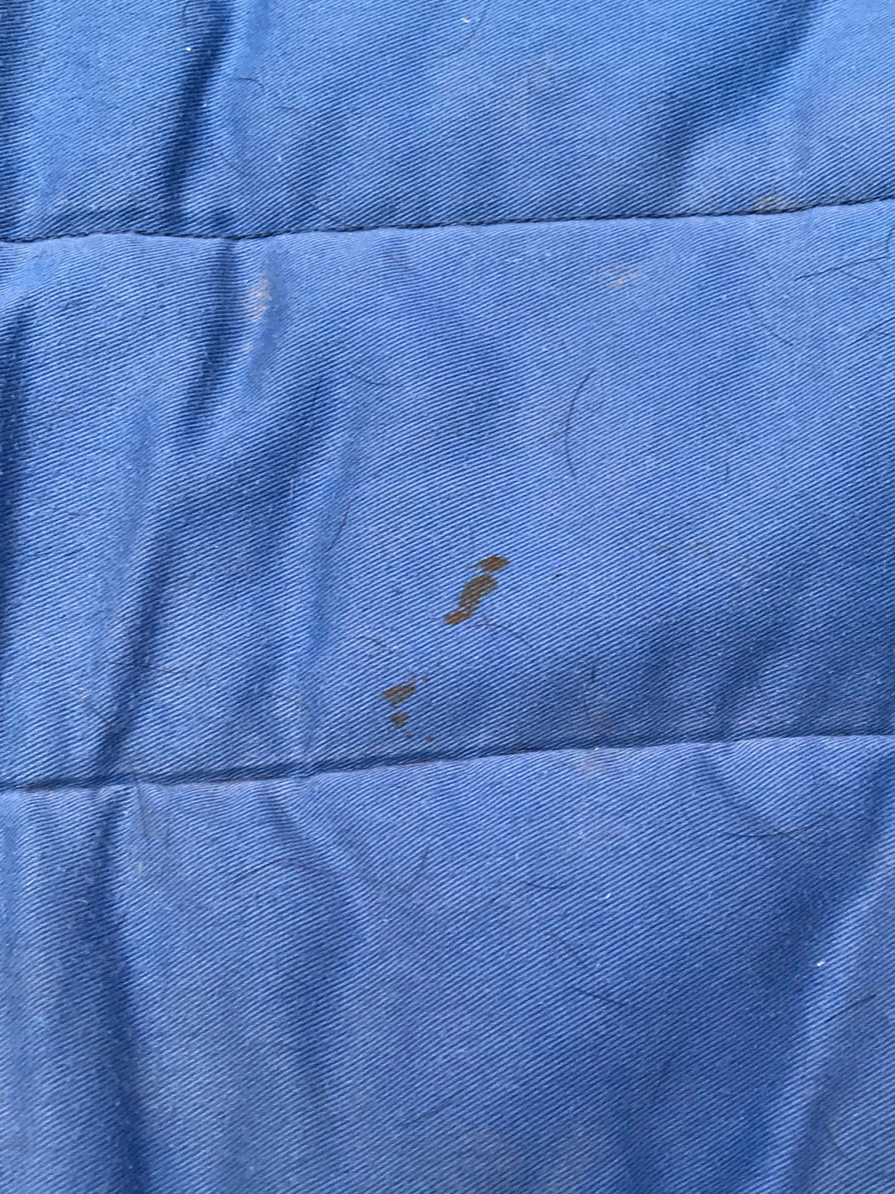 Lemieux blue padded saddle cloth full size FREE POSTAGE