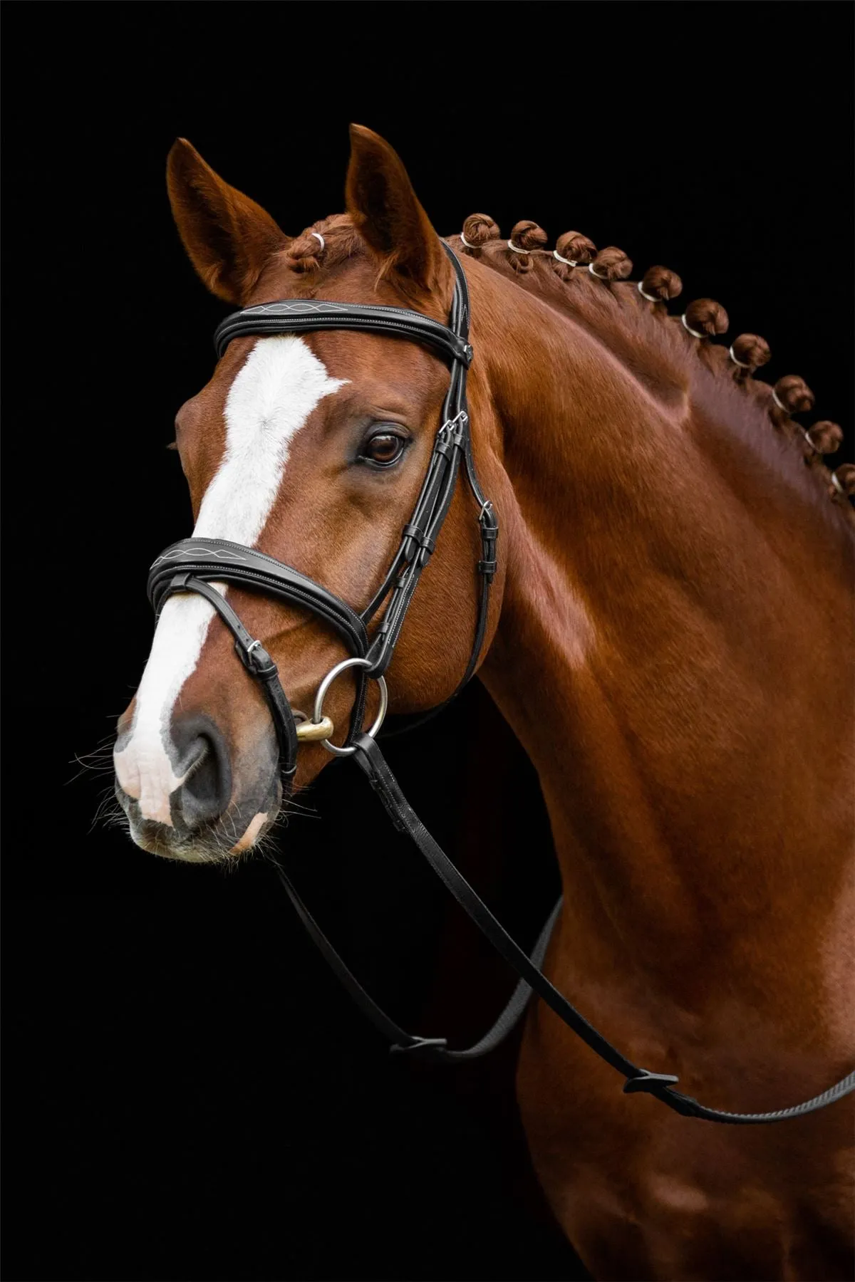 LeMieux Competition Flash Bridle
